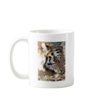 Siberian Tiger mugs