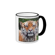 Siberian tiger mug