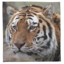 siberian tiger cloth napkin