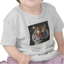 Siberian Tiger Portrait Shirts