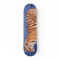 Siberian Tiger Custom Skate Board