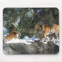 Siberian Tigers At The Snowy Pond Mousepad