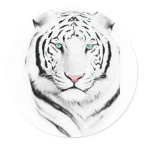 Siberian White Tiger Round Sticker