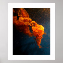sic itur ad astra i posters
