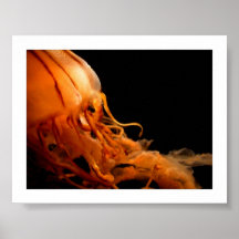 sic itur ad astra ii print