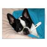 Sick Day Doggie Greeting Cards