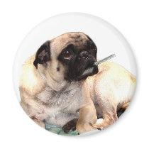 Sick pug with thermometer magnet round