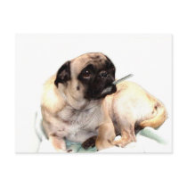 Sick pug with thermometer postcard