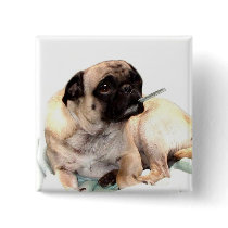 Sick pug with thermometer veterinarian button