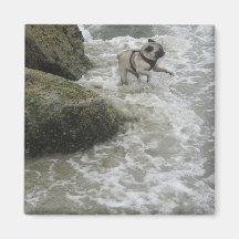 Sid Precious at the Beach Fridge Magnets