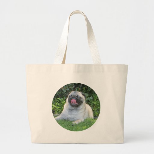 Sid Precious Canvas Bags