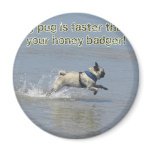 Sid the Puggy at the Beach magnets
