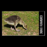 Side Band -  Gosling business cards