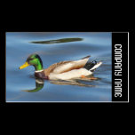 Side Band -  Mallard Duck business cards