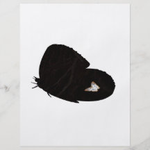 Side butterfly shape with moth pic flyer design