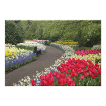 Sidewalk through tulips, daffodils, and art photo