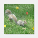 Sidney Squirrel and Friend Magnets