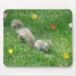 Sidney Squirrel and Friend Mousepads