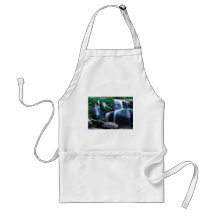 Sierra National Forest, California Apron