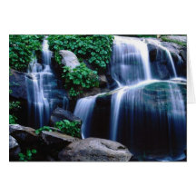 Sierra National Forest, California Greeting Card