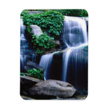 Sierra National Forest, California Magnets