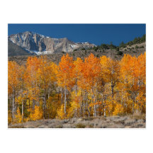 Sierra orientale couleurs d'automne carte postale