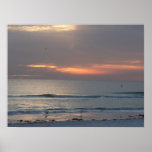 Siesta key sunset poster