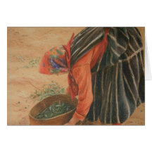 Sifting the Olives Card
