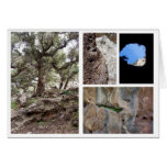 Sights of Tazzeka Card