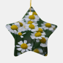 Signe de paix de marguerites décoration de noël