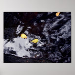 Signs Of Autumn posters