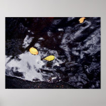 Signs Of Autumn Poster