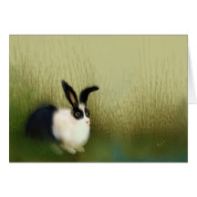 Silence at the Cape Greeting Cards