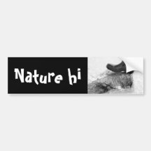 silence surfaces bumper sticker