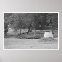 Silent Morning Poster