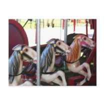 Silent Racers Carousel Horse Photo Postcard