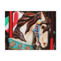 Silent Steed Carousel Horse Photo Postcard