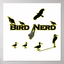 Silhouette de ballot d'oiseau affiches