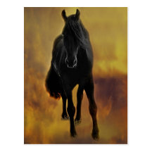 Silhouette de chevaux cartes postales