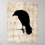 Silhouette de Raven - rétro Ravens vintage et corn Posters