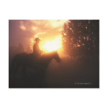 Silhouette of cowboy on a horse postcards
