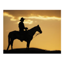 Silhouette of cowboy on horseback at sunset or post card