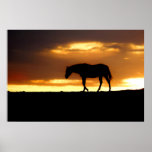 Silhouette of Horse at Sunrise Posters