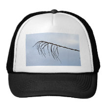 Silhouette of Leafless Tree Trucker Hat