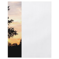 Silhouette of Trees at Sunset