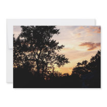 Silhouette of Trees at Sunset
