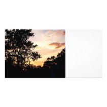Silhouette of Trees at Sunset