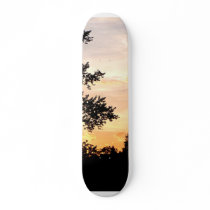 Silhouette of Trees at Sunset