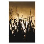 Silhouettes stationery
