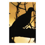 Silhoutte Dove Stationery
